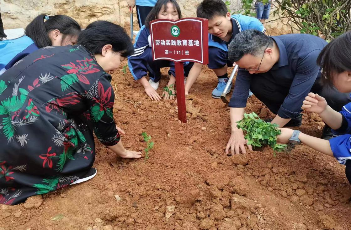 教师风采